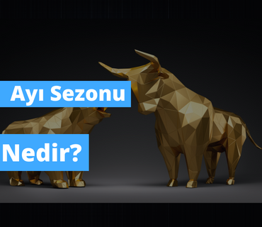 Ayı Sezonu Nedir?